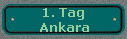 1. Tag 
 Ankara